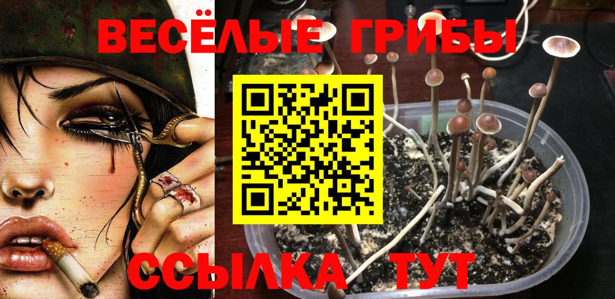 Еманжелинск  Галлюциногенные грибы GOLDEN TEACHER  Галлюциногенные грибы прущие грибы  Вход с VPN 