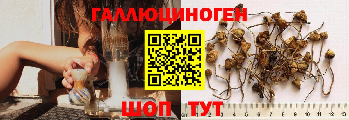 Псилоцибиновые грибы MAGIC MUSHROOMS Еманжелинск